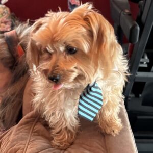 Profile photo of Robbi